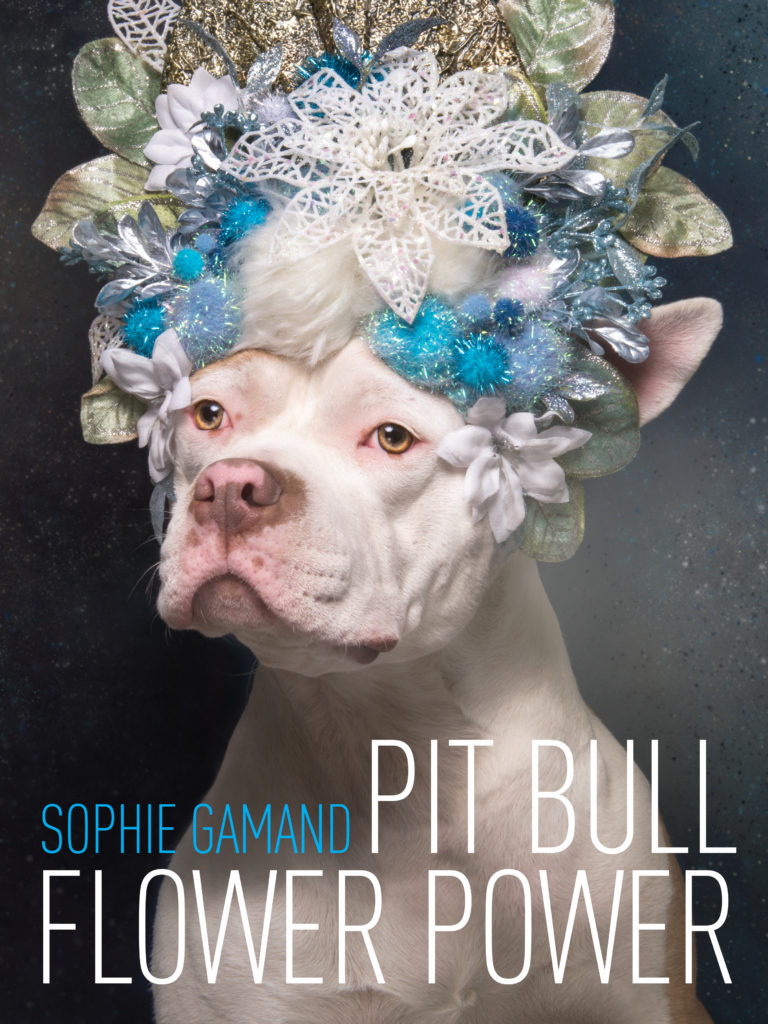 Pit Bull Flower Power book cover with the picture of a pit bull with a blue flower crown in their head